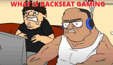 backseat gaming