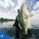 Fishing Games For PS4