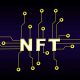 Gaming Developer Backs NFTs