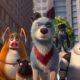 Best Animal Movies on Netflix