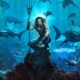 2018 IMDb Top-rated Movies