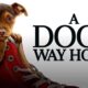  Dog Movies on Hulu