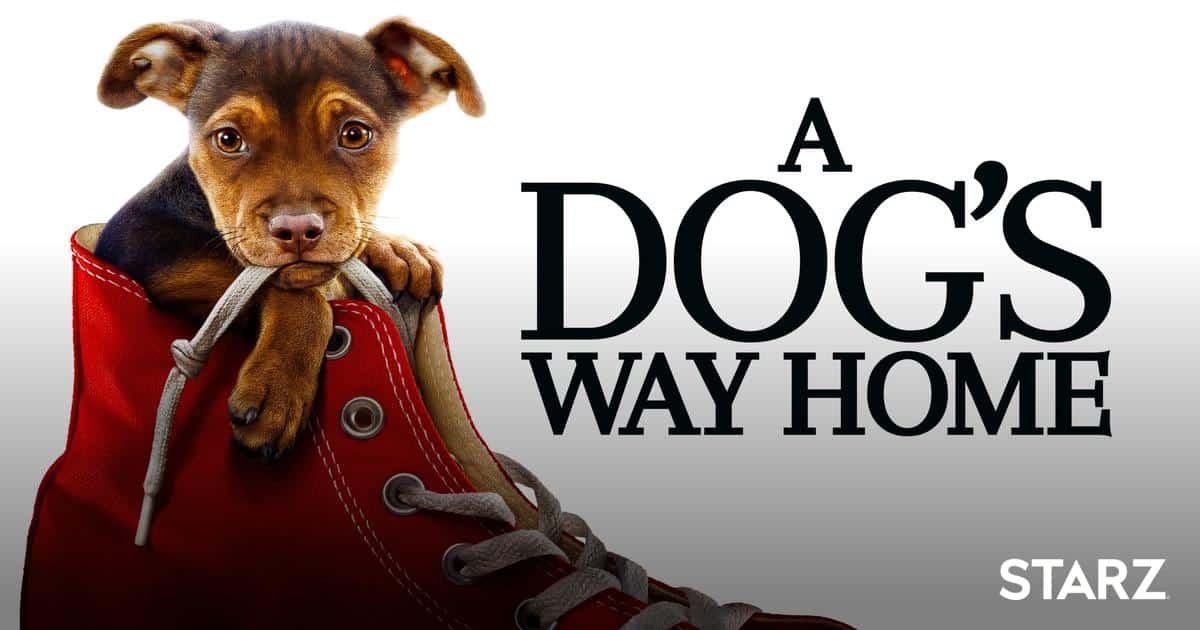  Dog Movies on Hulu