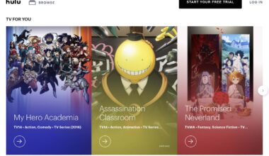 Best Animes on Hulu