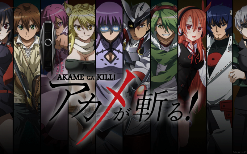 Anime Like Akame Ga Kill