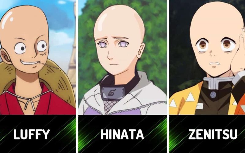 Bald Anime Characters