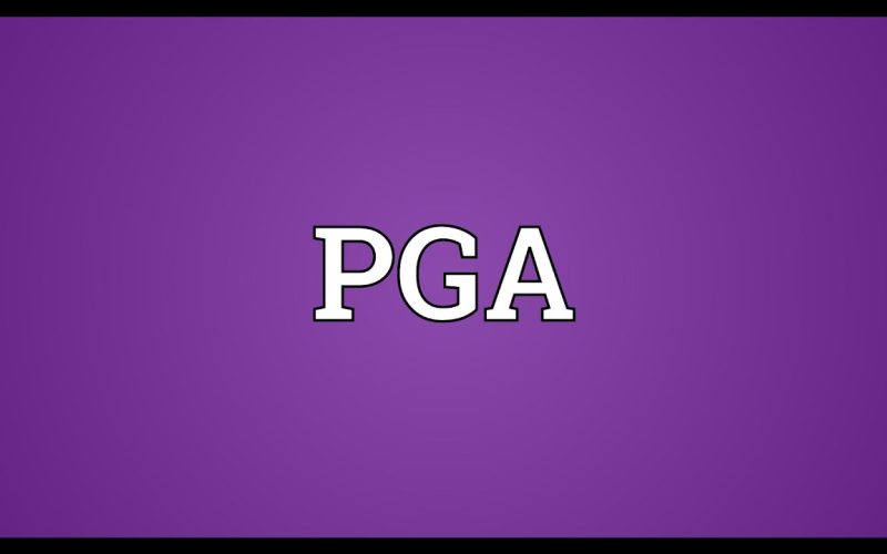 What Does P.G.A. Mean in Movies